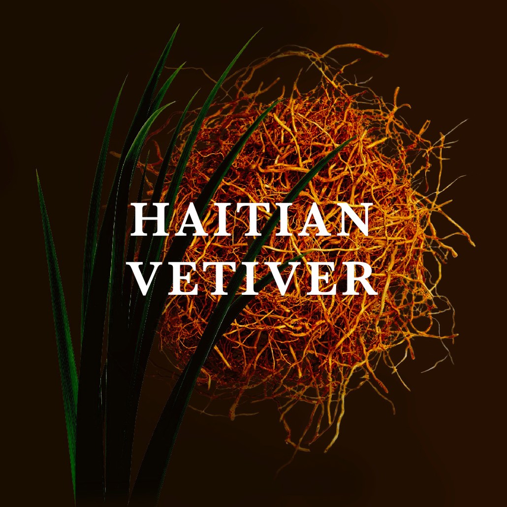 Ierofante by Quartana Parfum Haitian Vetiver Accord
