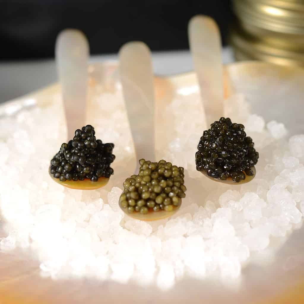 Three different caviar varieties on caviar spoons