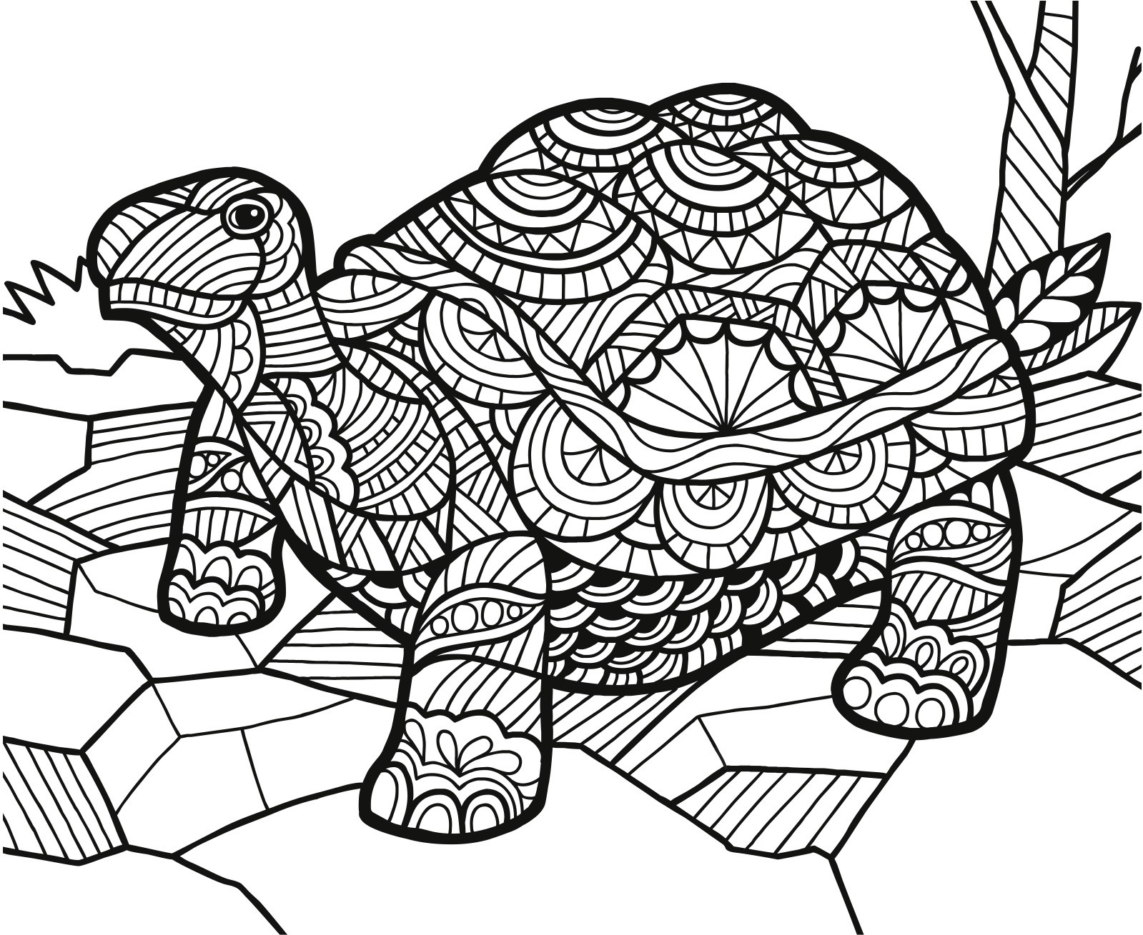 Freebie Friday 07-12-19 Wild Animals Coloring Page