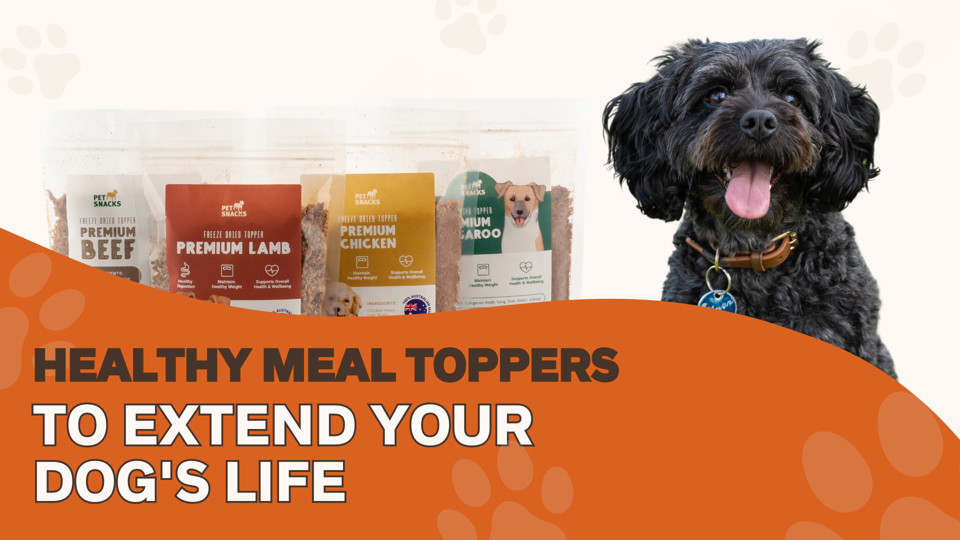 Healthy Meal Toppers To Extend Your Dog's Life Pet Snacks