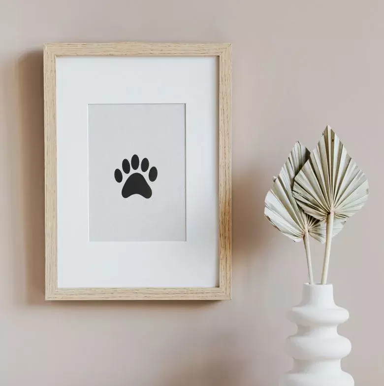 dog paw print in fram