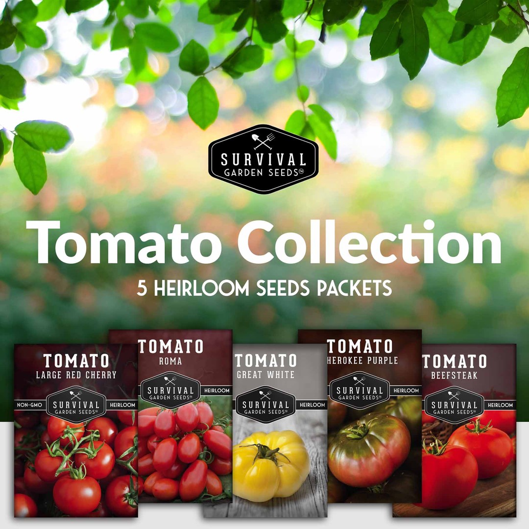 5 Tomato Seed Collection