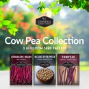 Cow Pea Seed Collection