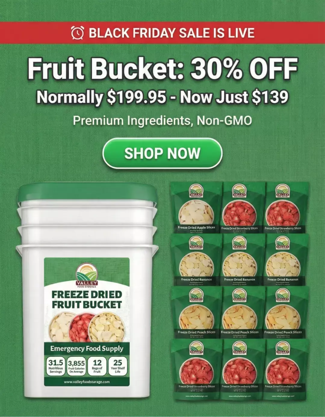 Valley Food Storage Freeze-Dried Fruit Bucket with assorted prepared fruit servings displayed in a Black Friday promotion banner.