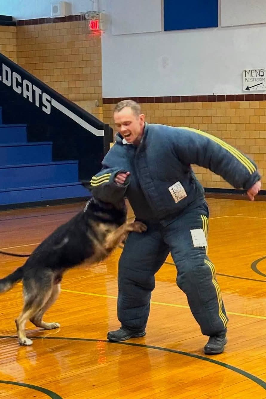 k9 havoc doing bitework