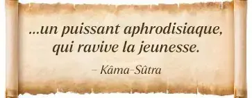 Parchemin portant une citation du Kâma-Sûtra