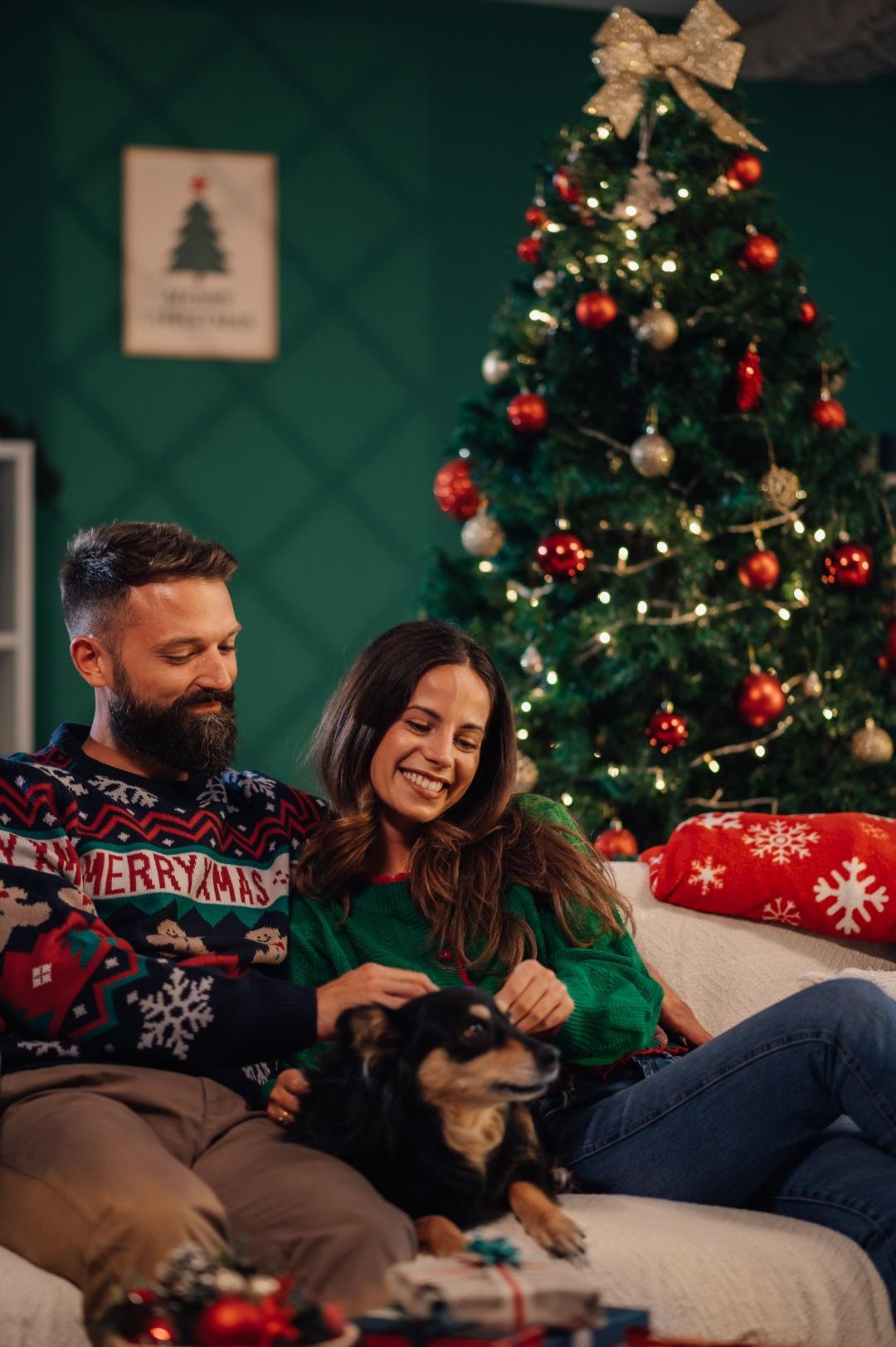 A happy couple in Christmas sweaters pet their dog while sitting on the sofa in their decorated living room near the Christmas tree