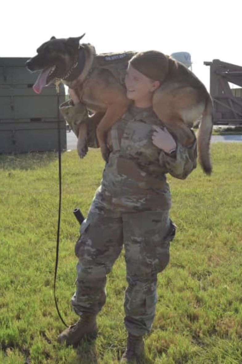 k9 dexter