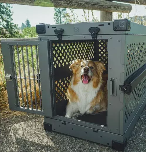 crate train a dog or puppy
