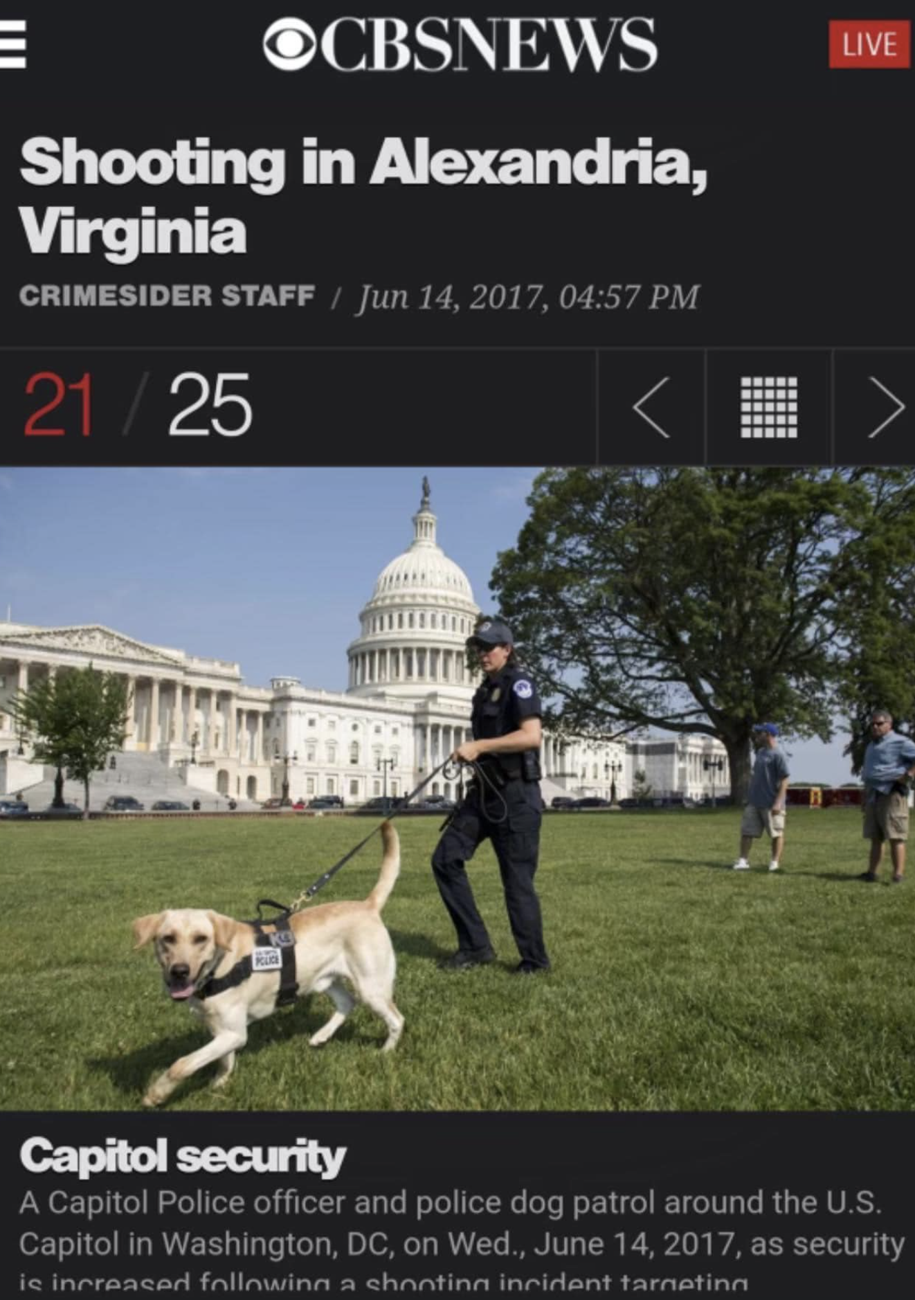 k9 dexter