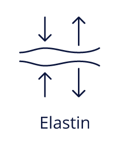 Icons of Ceramides, Collagen, elastin