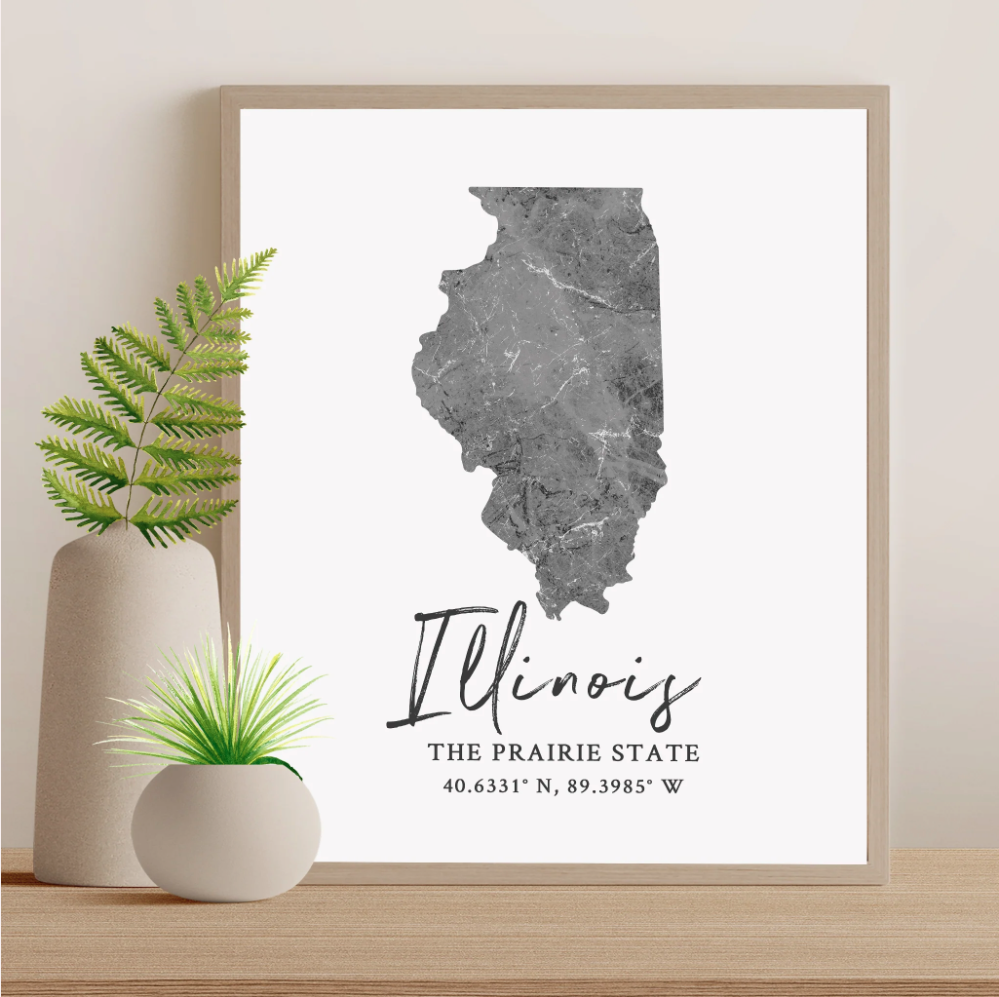 Illinois State Map Silhouette print