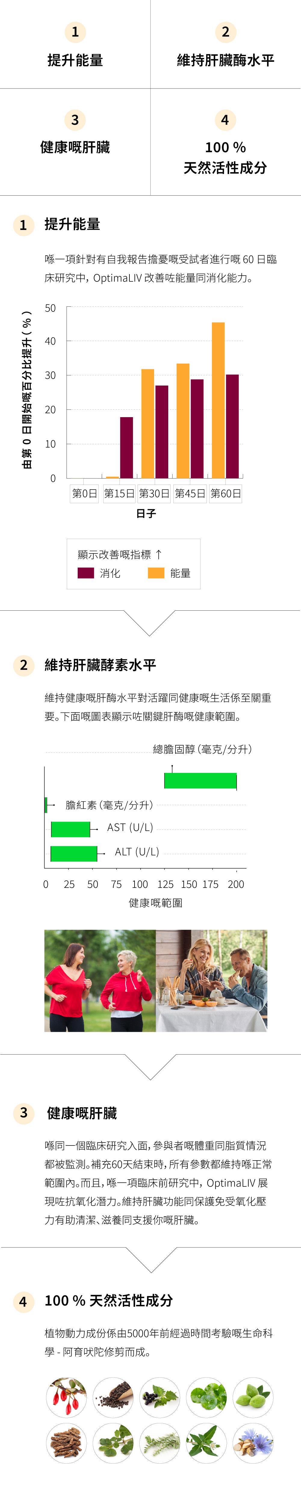 OptimaLIV 可以提升能量，有助維持健康嘅肝酵素水平，支援最佳肝臟功能，而且含有100 % 天然活性成份。