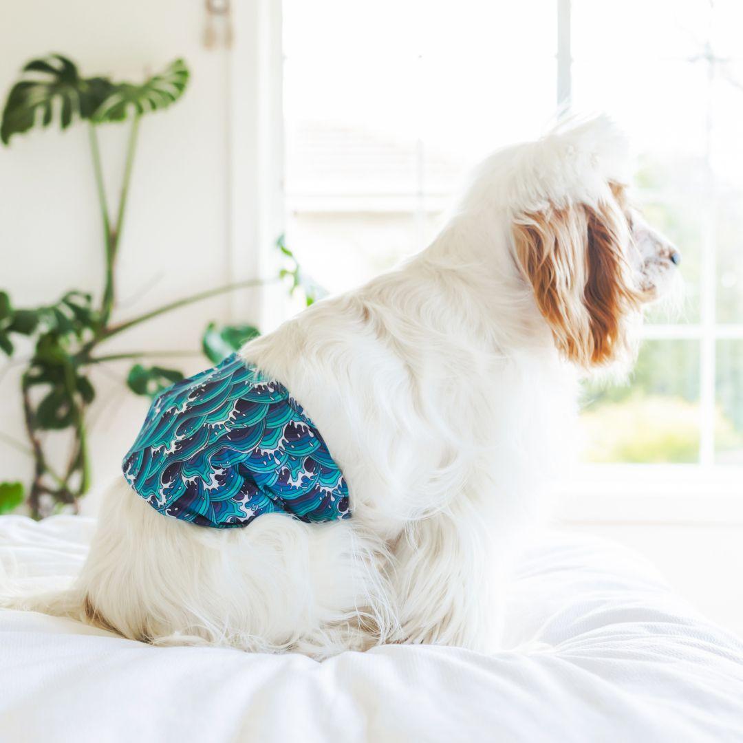 Diapers For Dogs In Heat Do They Work? Potty Buddy Potty Buddy™