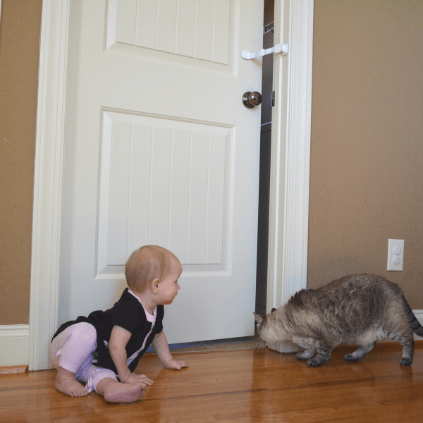 Door Buddy - baby gate with cat door