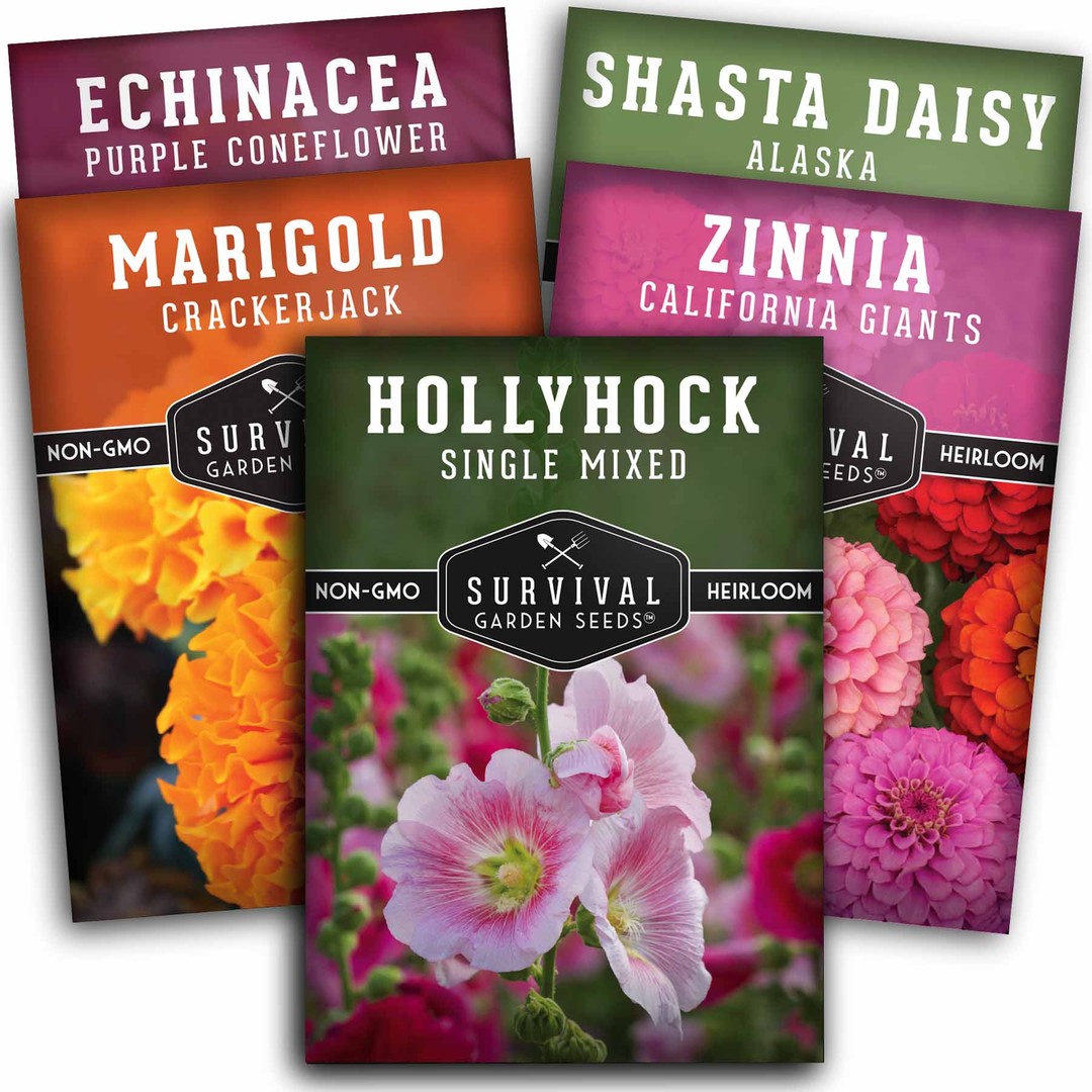 Survival Garden Seeds Beautiful Flower Collection - Hollyhock, Shasta Daisy, Purple Coneflower (Echinacea), Crackerjack Marigold, California Giant