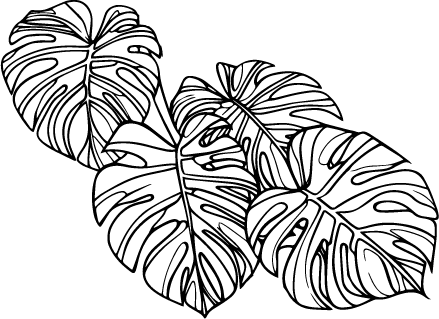 Close-up illustration of the Monstera Decal design, featuring four distinct Monstera leaves rendered in bold black and white linework. The image highlights the clean, simple aesthetic of the decal artwork before it is applied to the glass components.