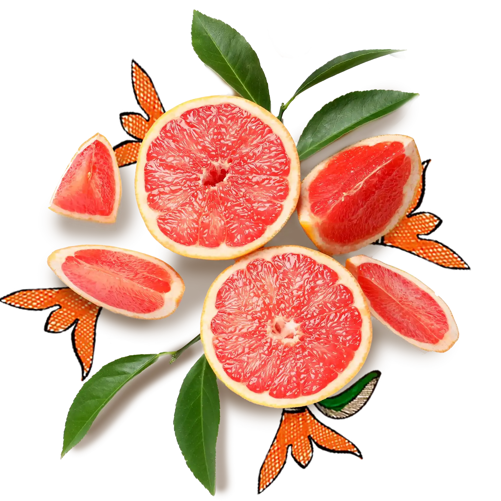 Grapefruit Peel