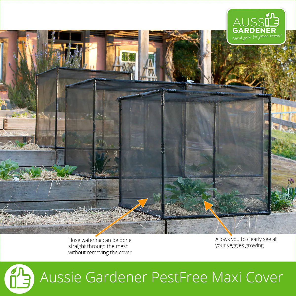 PestFree Maxi Cover with see-through mesh for easy watering and plant visibility.