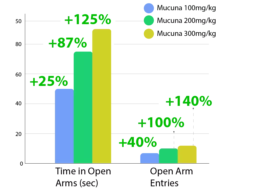 Bar chart showing effects of Mucuna at 100, 200, and 300 mg/kg doses on two anxiety-related metrics. Time in Open Arms increased by 25%, 87%, and 125% respectively. Open Arm Entries increased by 40%, 100%, and 140% respectively. Higher doses show greater improvement.