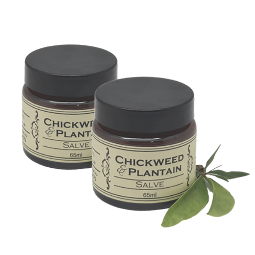 Chickweed & Plantain
