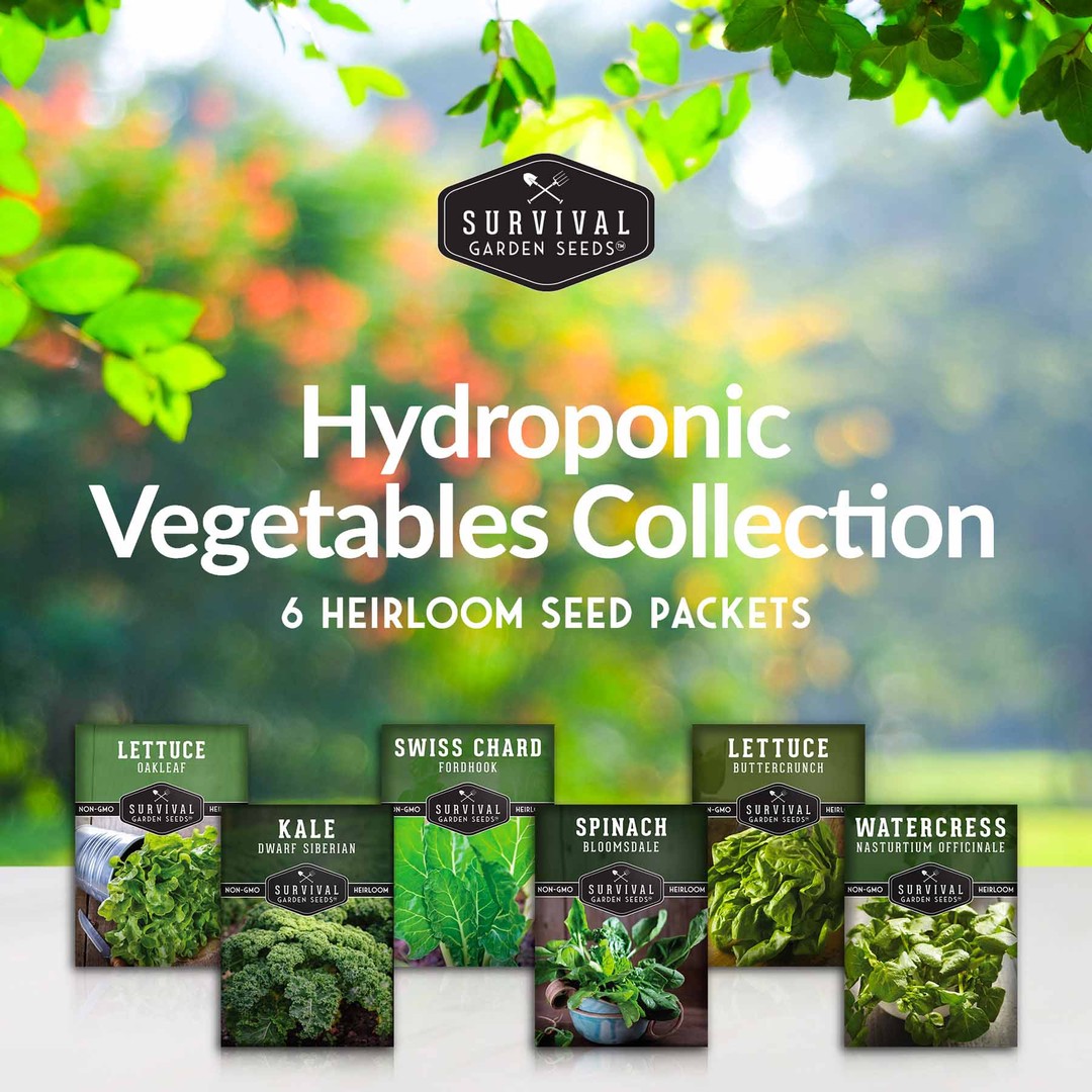 Hydroponic Vegetable Seed Collection - 6 Vegetables for hydroponic growing