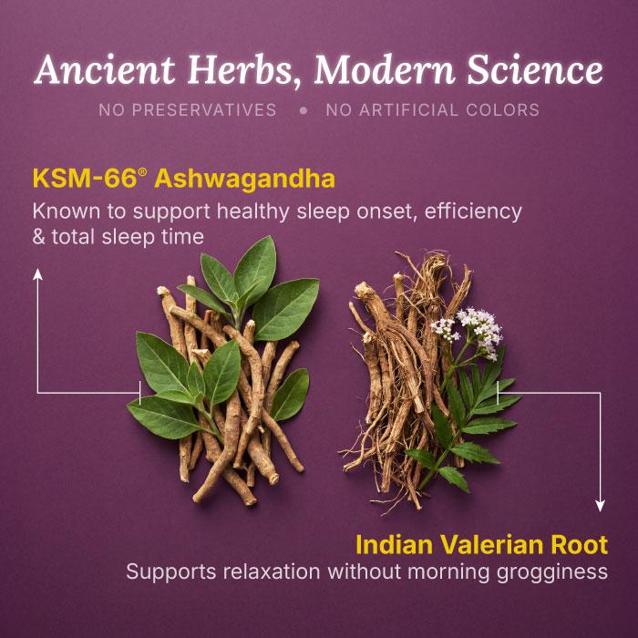 Ashwagandha and valerian root herbs shown with benefits for better sleep and relaxation without grogginess.
