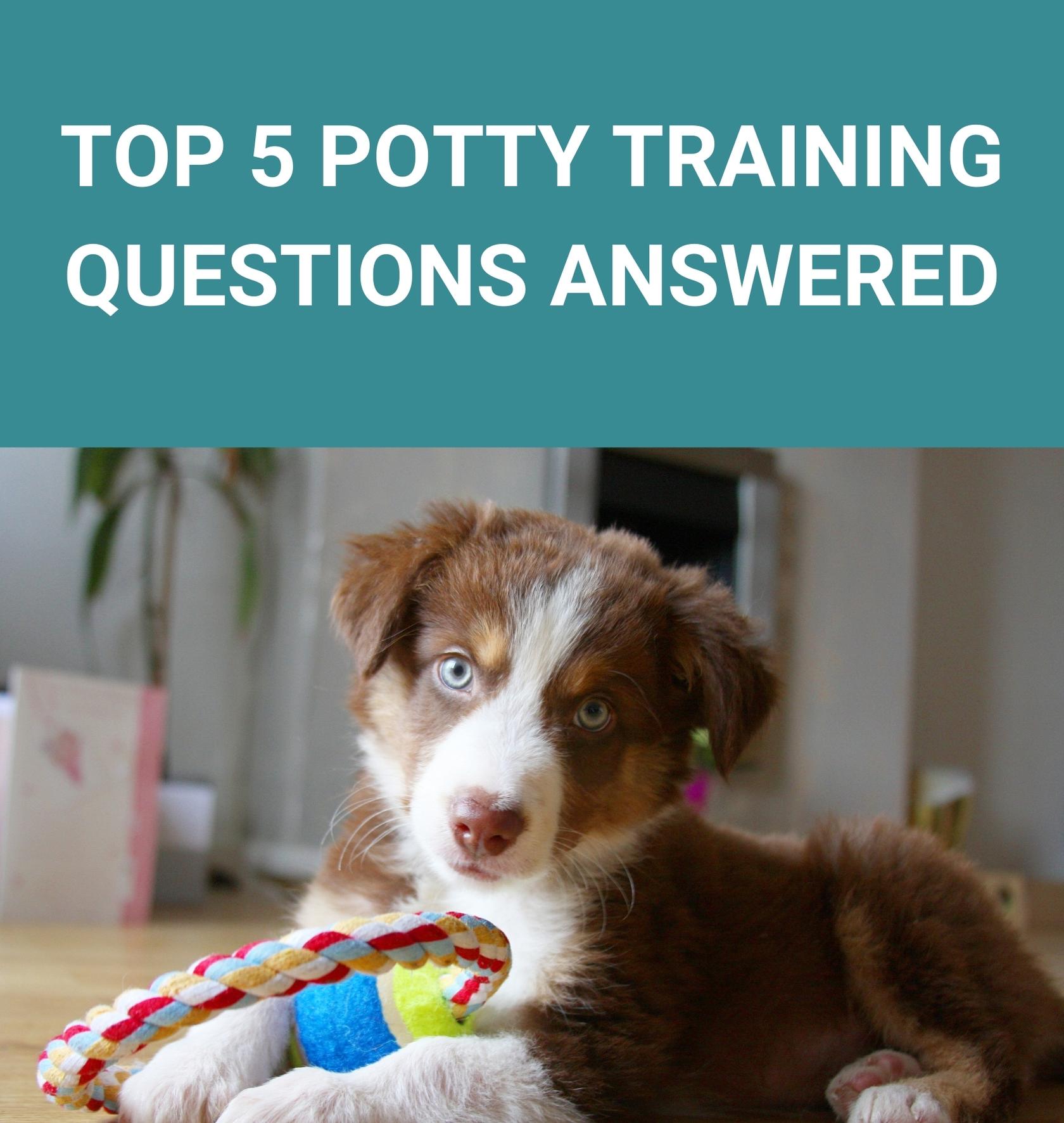 Top 5 Potty Training Questions Answered Potty Buddy™