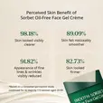 Mini Smooth-Sorbet HUT results