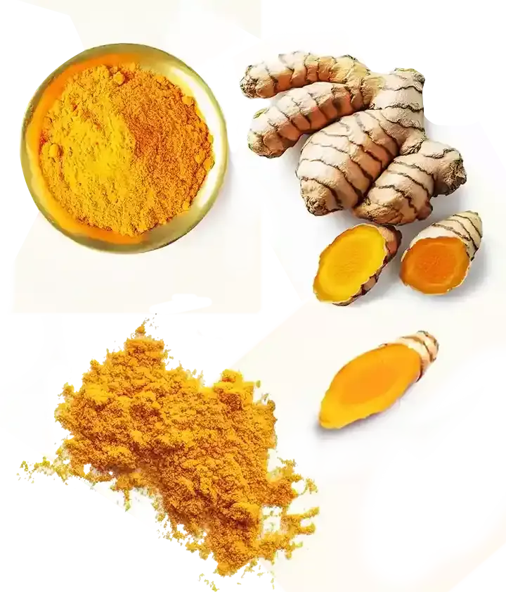 The image shows turmeric which is one of the ingredients in Cleanser