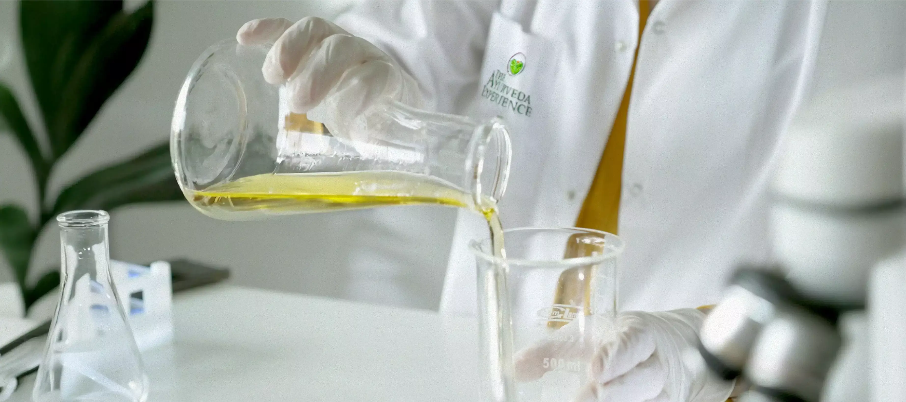 Our Products: True, Tested, and Trustworthy