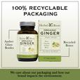 Bottle and box of Herbal Roots Organic Ginger next to each other. Under the bottle and box says We care about our packaging and how our brand impacts the environment. There is a line coming from the left of the bottle that says Amber glass bottles. There is a line coming from the left of the box that says recycled boxes.
