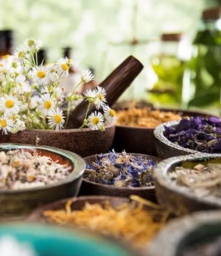 Ayurvedic Botanicals 2