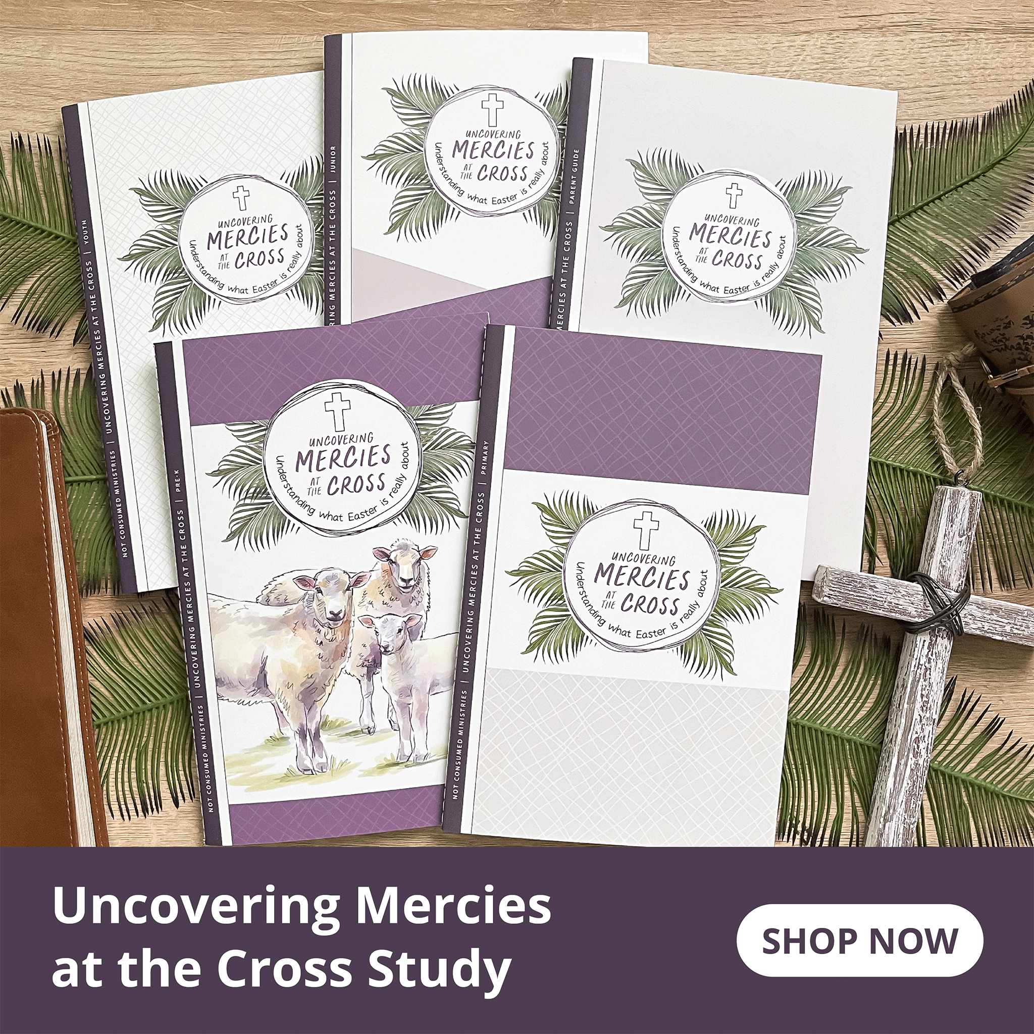 Uncovering Mercies at the Manger Christmas Bible study