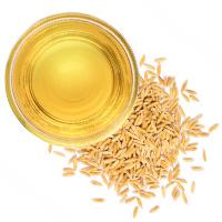 Oryza Sativa (Rice) Bran Oil