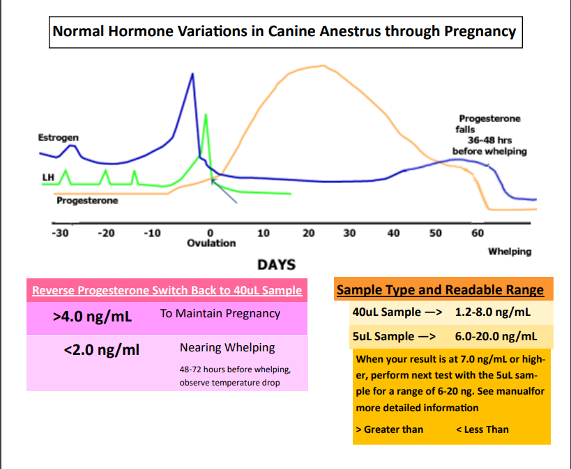 IDEXX PROGESTERONE K9 Diagnostic Cryogenetics, 46% OFF