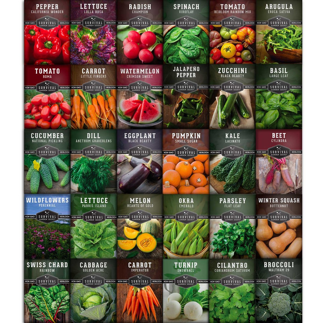 30 packs of herb and vegetable seeds