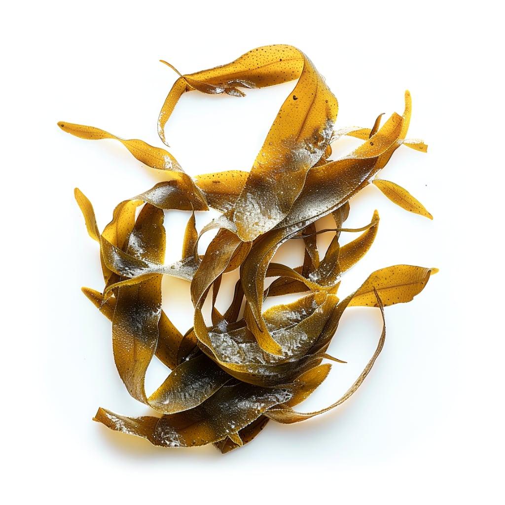 Kelp: salad toppers