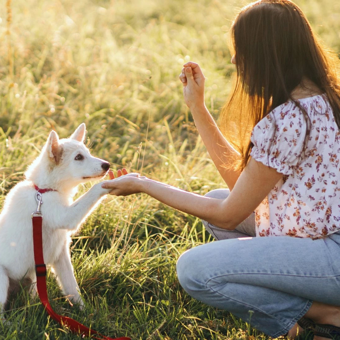 Woman giving a dog a treat