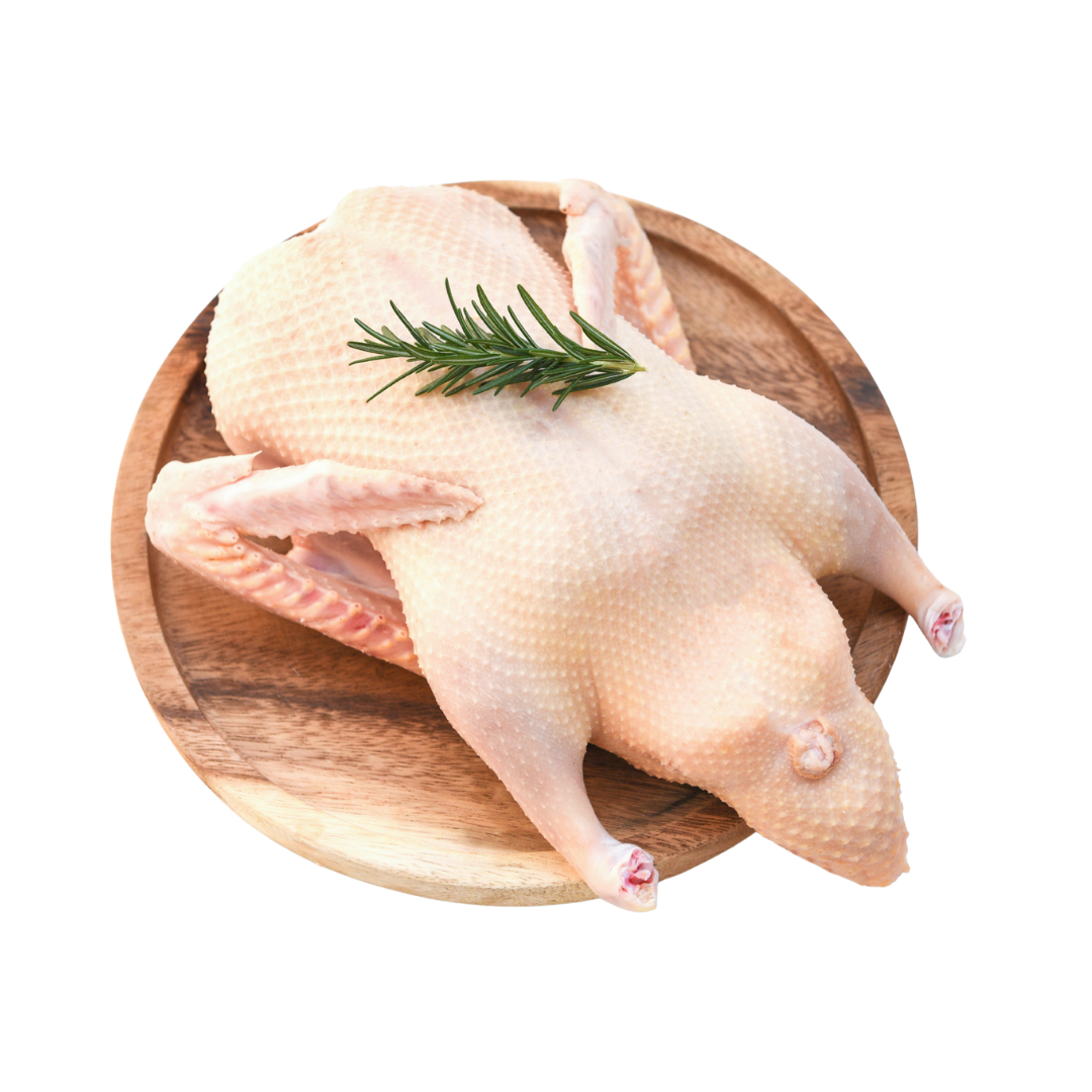 Patka