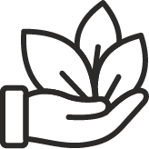 Expertly crafted by certified Ayurvedic practitioners icon