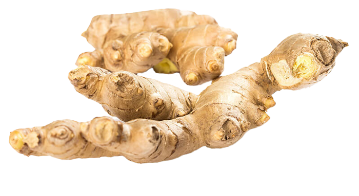 Ginger