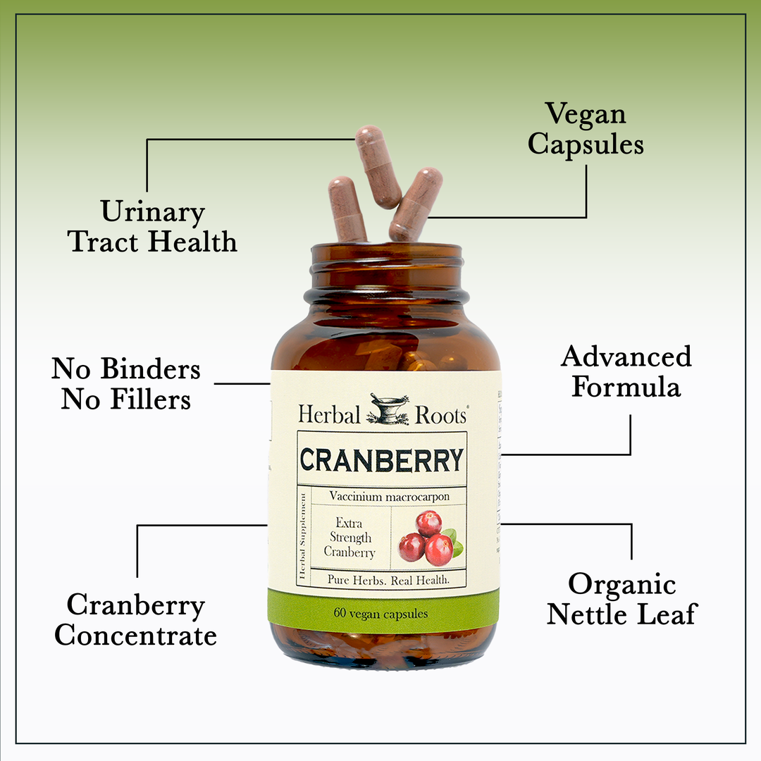 Bottle of Herbal Roots Cranberry supplement with three pills spilling out of the top of the bottle. There are several lines pointing to the bottle and the capsules. The lines say Urinary Tract Health, Vegan Capsules, Advanced Formula, No Binders or fillers, cranberry concentrate and organic nettle leaf.