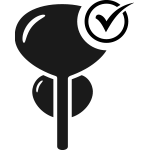 Premium External Prostate Massager – Dr. Rachael Institute