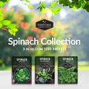 Spinach Seeds Collection