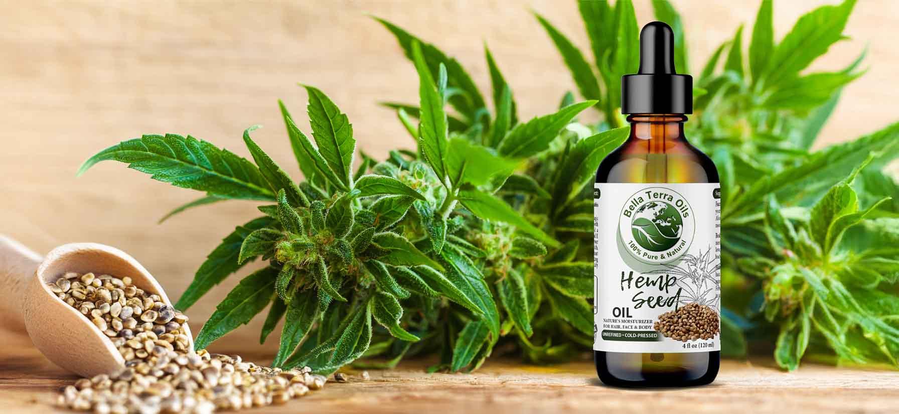 How to Extract Hemp Seed Oil