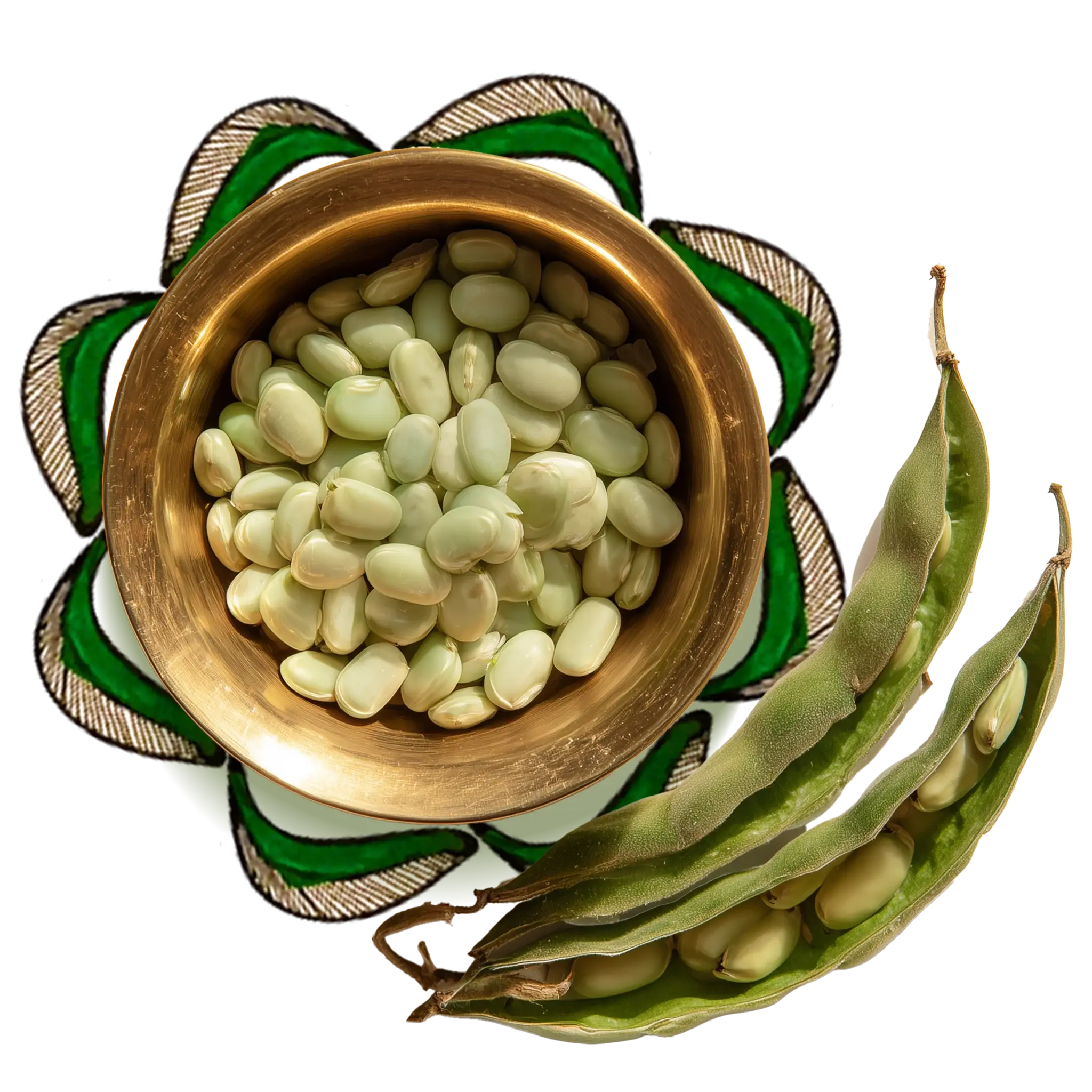 Few velvet beans surrounded by floral artworks