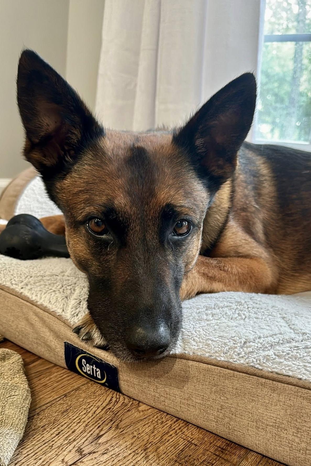 mpc thor in his bed