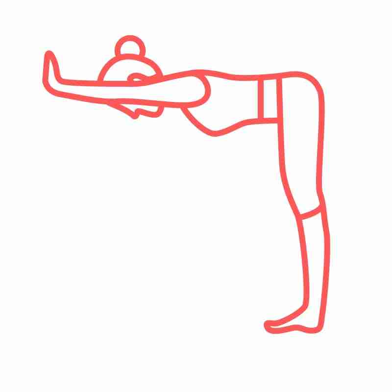 Standing Half Forward Bend (Ardha Uttanasana) at the Wall