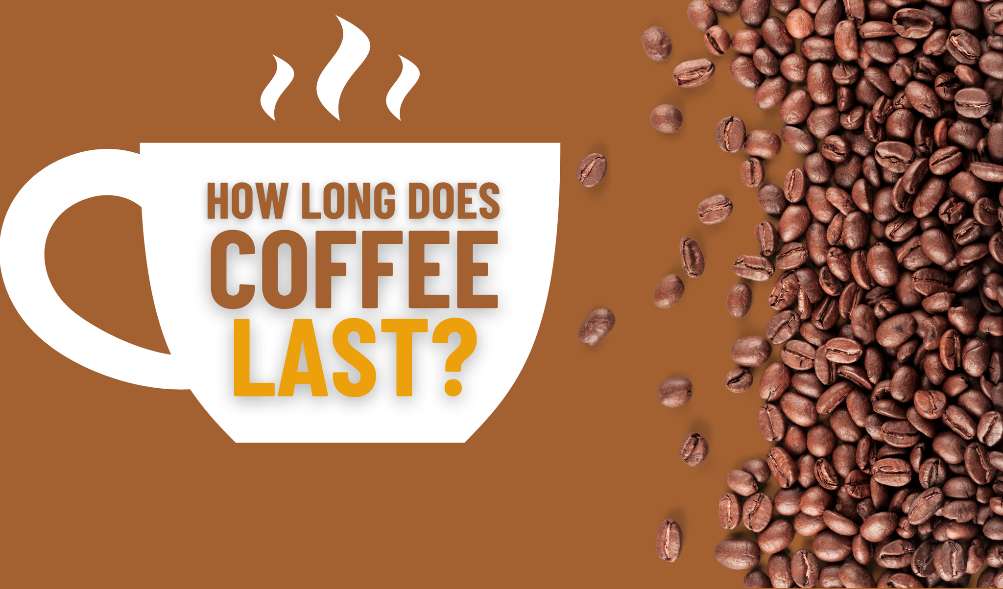 How Long Does Coffee Last? Lifeboost Coffee